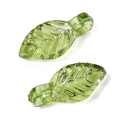 Transparent Acrylic Charms X-TACR-F009-11C-1