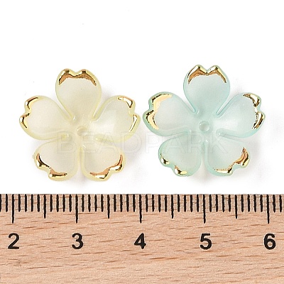 Acrylic Bead Caps OACR-H119-01B-1