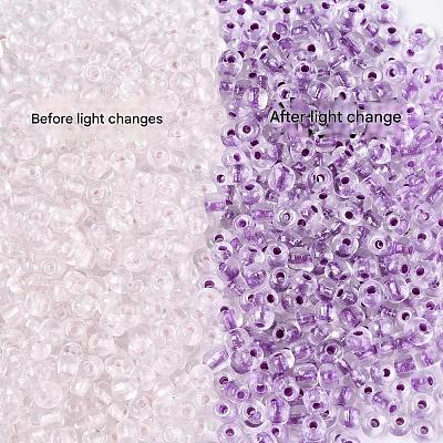 Glass Seed Beads SEED-T007-10C-1