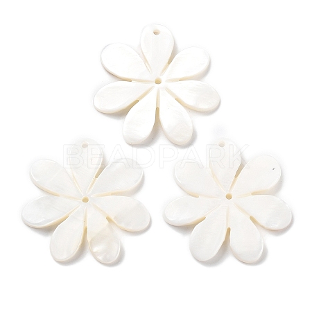 Natural Freshwater Shell Pendants X-SHEL-D082-08A-1