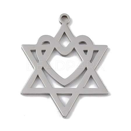 Non-Tarnish 304 Stainless Steel Pendants STAS-B062-19P-1
