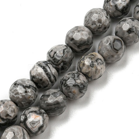Natural Map Stone/Picasso Stone/Picasso Jasper Beads Strands G-C079-B05-01-1