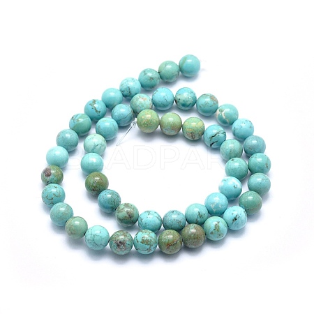 Dyed Natural Turquoise Beads Strands G-G768-02-12mm-1