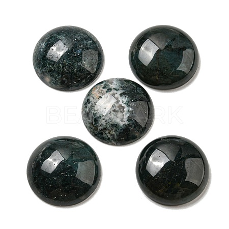 Natural Moss Agate Cabochons G-C115-02A-46-1