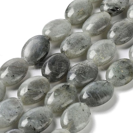 Natural Labradorite Beads Strands X-G-L164-A-34-1