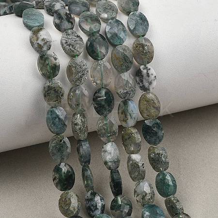 Natural Moss Agate Beads Strands G-H349-A01-22-1