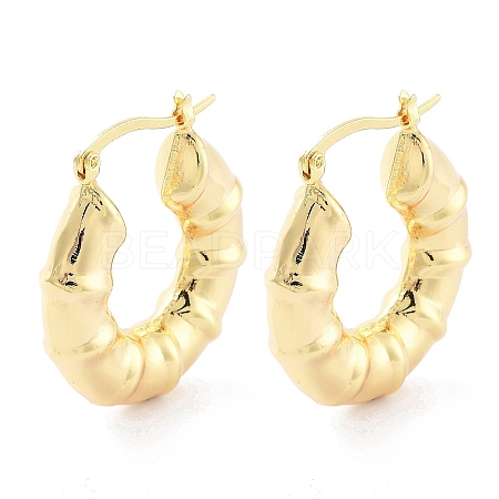 Brass Hoop Earrings EJEW-H301-01G-01-1