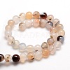 Natural Dendritic Agate Round Beads Strands G-E321C-6mm-01-2