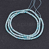 Natural Amazonite Beads Strands G-P278-09-2mm-2