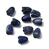 Natural Lapis Lazuli Beads G-A222-03I-2