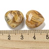 Natural Crazy Lace Agate Beads G-P531-A19-01-3
