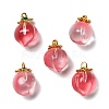 Glass Pendants GLAA-P072-05G-02-1