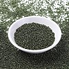 MIYUKI Round Rocailles Beads X-SEED-G007-RR0306-2