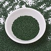 MIYUKI Delica Beads SEED-J020-DB0797-2