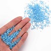 Glass Bugle Beads SEED-S032-11A-103-5