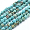 Natural Magnesite Beads Strands G-D0012-01A-1