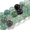 Natural Rainbow Fluorite Bead Strands G-P255-01-8mm-2