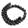 Natural Larvikite Beads Strands G-C280-B06-10mm-3