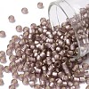 TOHO 8/0 Round Beads X-SEED-TR08-0026F-1