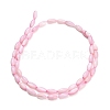Natural Freshwater Shell Beads Strands X-SHEL-C010-01E-3