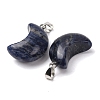 Natural Sodalite Pendants G-F820-02D-01-3