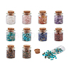 Glass Wishing Bottle Decorations STAS-CW0001-01-22