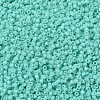 MIYUKI Delica Beads SEED-X0054-DB2122-3