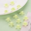 Transparent Acrylic Beads TACR-S152-11A-07-6