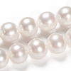 Natural Cultured Freshwater PearlBeads Strands PEAR-G007-25-5