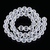 Transparent Glass Beads Strands LS-GLAA-T032-T10mm-MD13-3