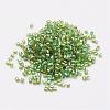 11/0 Two Cut Round Hole Glass Seed Beads SEED-G006-2mm-649-2