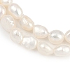 Natural Cultured Freshwater Pearl Beads Strands PEAR-P064-20A-04A-02-4