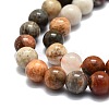 Natural Fossil Coral Beads Strands G-E576-03A-3