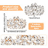 4Pcs 2 Colors Detachable Flower Shoe Decoration AJEW-GO0001-95-2
