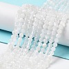 Natural Rainbow Moonstone Beads Strands X-G-J400-E12-01-2
