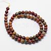Natural Polychrome Jasper/Picasso Stone/Picasso Jasper Bead Strands G-D840-85-4mm-2