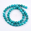 Natural Magnesite Beads Strands TURQ-F010-02-1