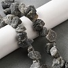 Natural Labradorite Beads Strands G-S386-B04-1