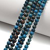 Natural Chrysocolla Beads Strands G-C289-B02-4mm-1