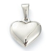 304 Stainless Steel Pendants STAS-P278-01Q-P-2