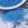 MIYUKI Delica Beads Small SEED-X0054-DBS0706-1