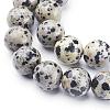 Natural Dalmatian Jasper Beads Strands GSR12mmC004-2