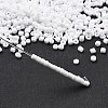 Frosted Opaque 12/0 Glass Seed Beads SEED-R029-2mm-A01-4