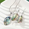 Abalone Shell/Paua Shell Jewelry Sets SJEW-E032-02-1