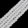 Transparent Glass Beads Strands EGLA-A034-T4mm-MD19-2