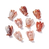 Natural Red Agate Home Display Decorations LS-DJEW-L009A-03-6