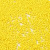 Baking Paint Glass Seed Beads X-SEED-S042-05B-81-3