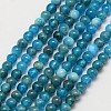 Natural Apatite Beads Strands X-G-D856-01-4mm-1