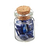 Transparent Glass Wishing Bottle Decoration DJEW-A001-01C-14-1