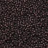 TOHO 11/0 Round Beads SEED-XTR11-0006CF-2